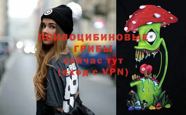 МДПВ Балахна