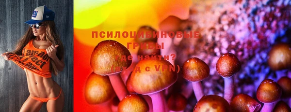 МДПВ Балахна